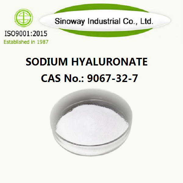 Hialuronato de sodio 9067-32-7