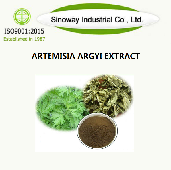 Artemisia Argyi Extracto