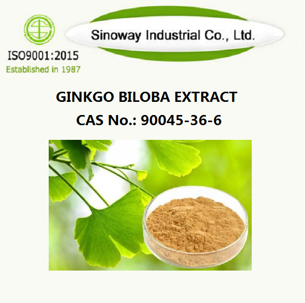 Extracto de Ginkgo Biloba 90045-36-6