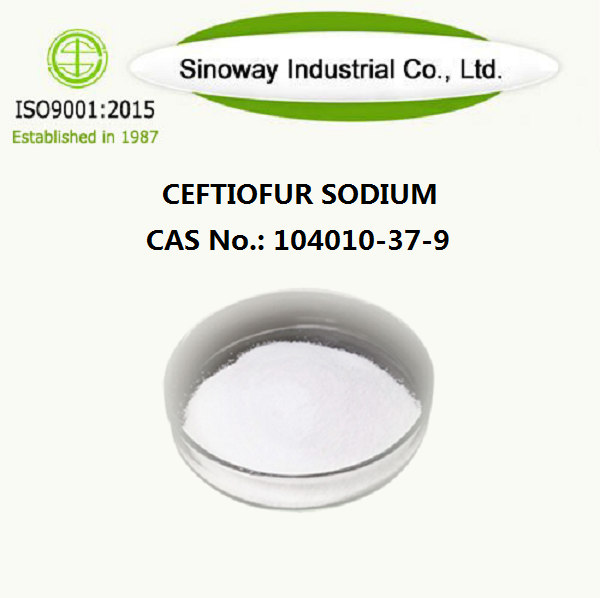 Ceftiofur sodio 104010-37-9