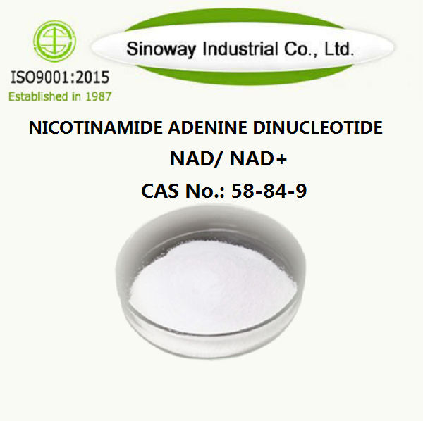 Nicotinamida Adenina Dinucleótido 53-84-9
