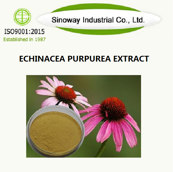 Extracto de Echinacea Purpurea