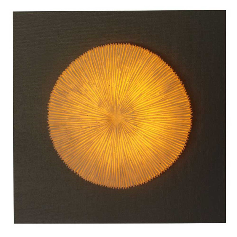 Arte de pared Coral Coral Mdf Plaque de madera con luz LED