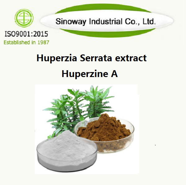 Extracto de Huperzia Serrata / Huperzina A 102518-79-6