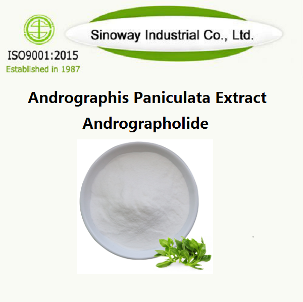 Extracto de Andrographis Paniculata/Andrographolide