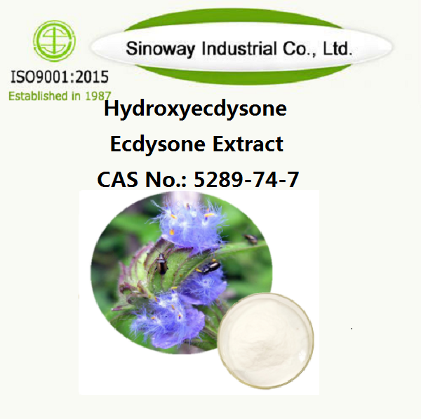 Hidroxiecdisona; Extracto de ecdisona β-ecdisona 5289-74-7